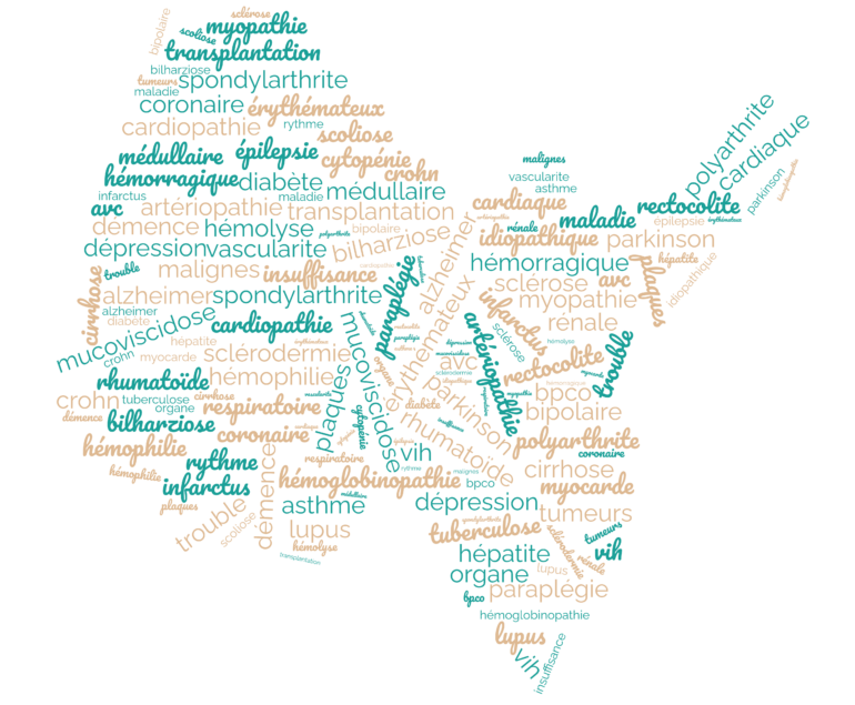 UTEP - nuage de mots