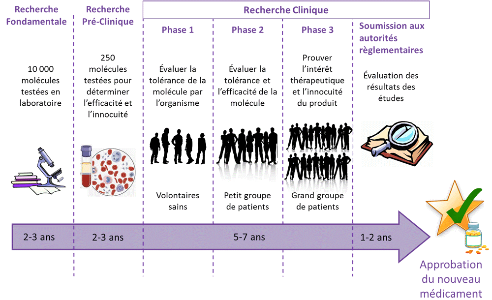 Recherche clinique - déroulement d'une étude