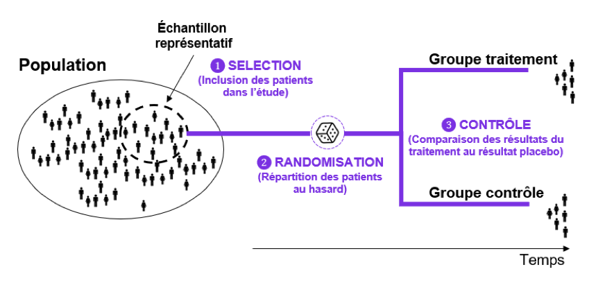 Recherche clinique - schéma population